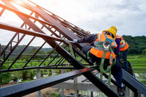 Best Roof Maintenance Services  in College, AK