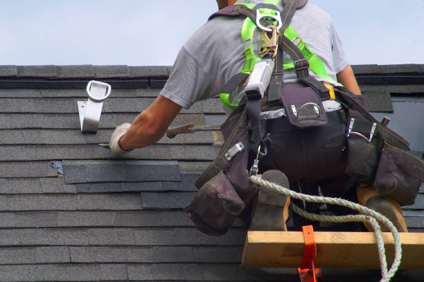 Best Flat Roof Repair Services  in College, AK