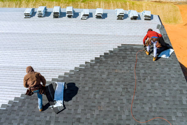 Best Metal Roofing Contractor  in College, AK