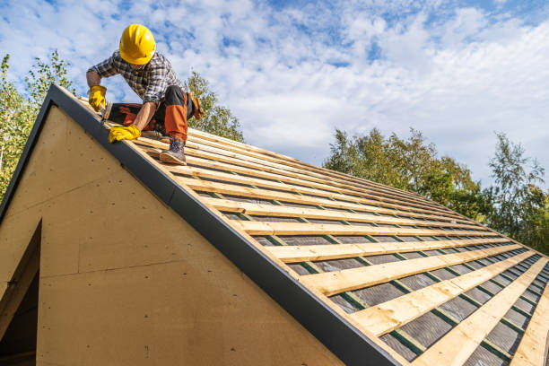 Best Emergency Roof Repair  in College, AK